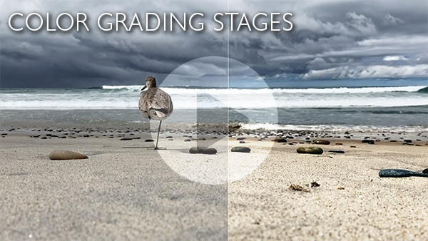 Color Grading Stages
