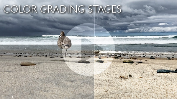 Color Grading Stages